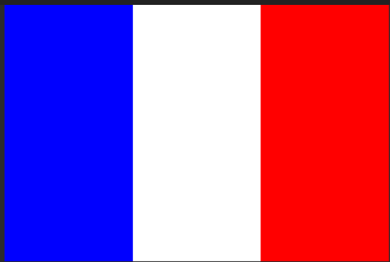 France Flag